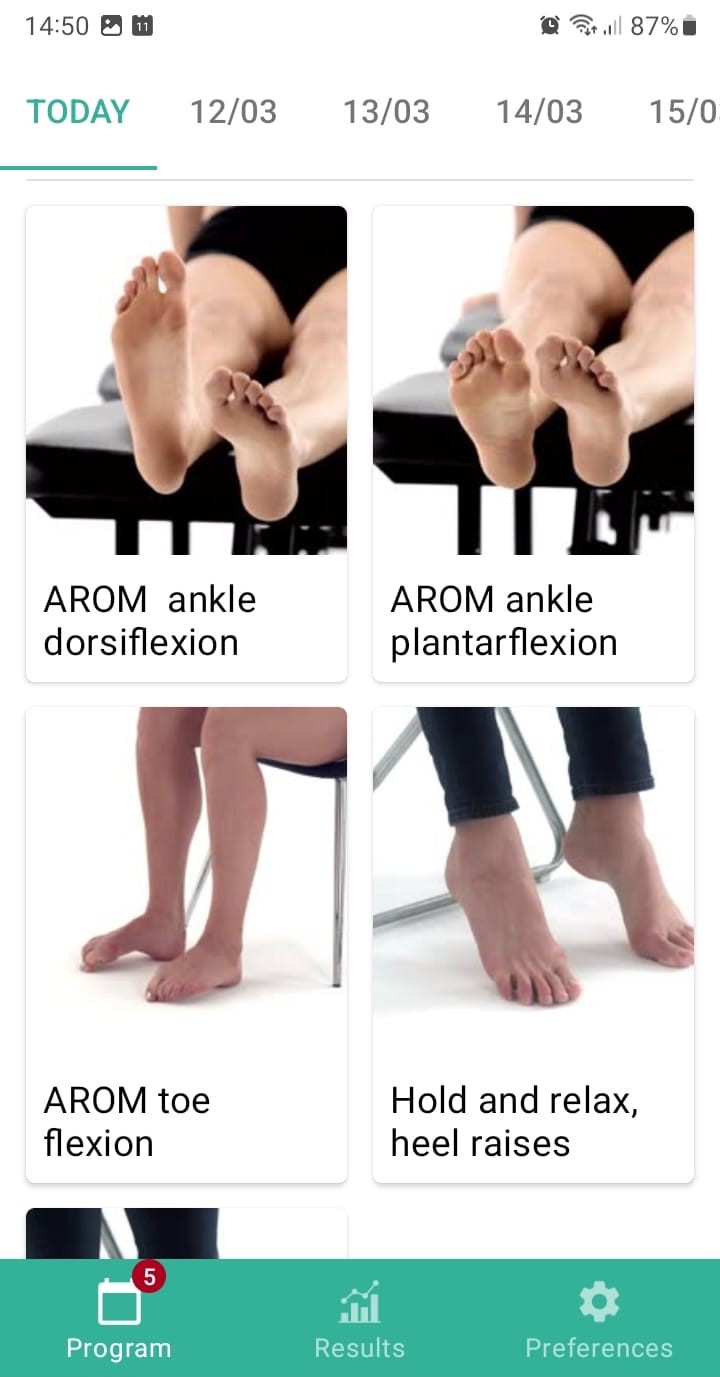 Online exercise program Lateral ankle ligament injury