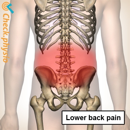 lower pain