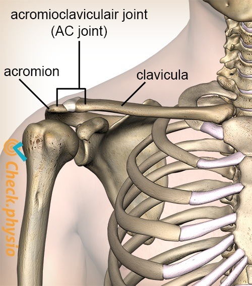 Acromioclavicular Joint - AC Joint in shoulder, AC Joint Pain